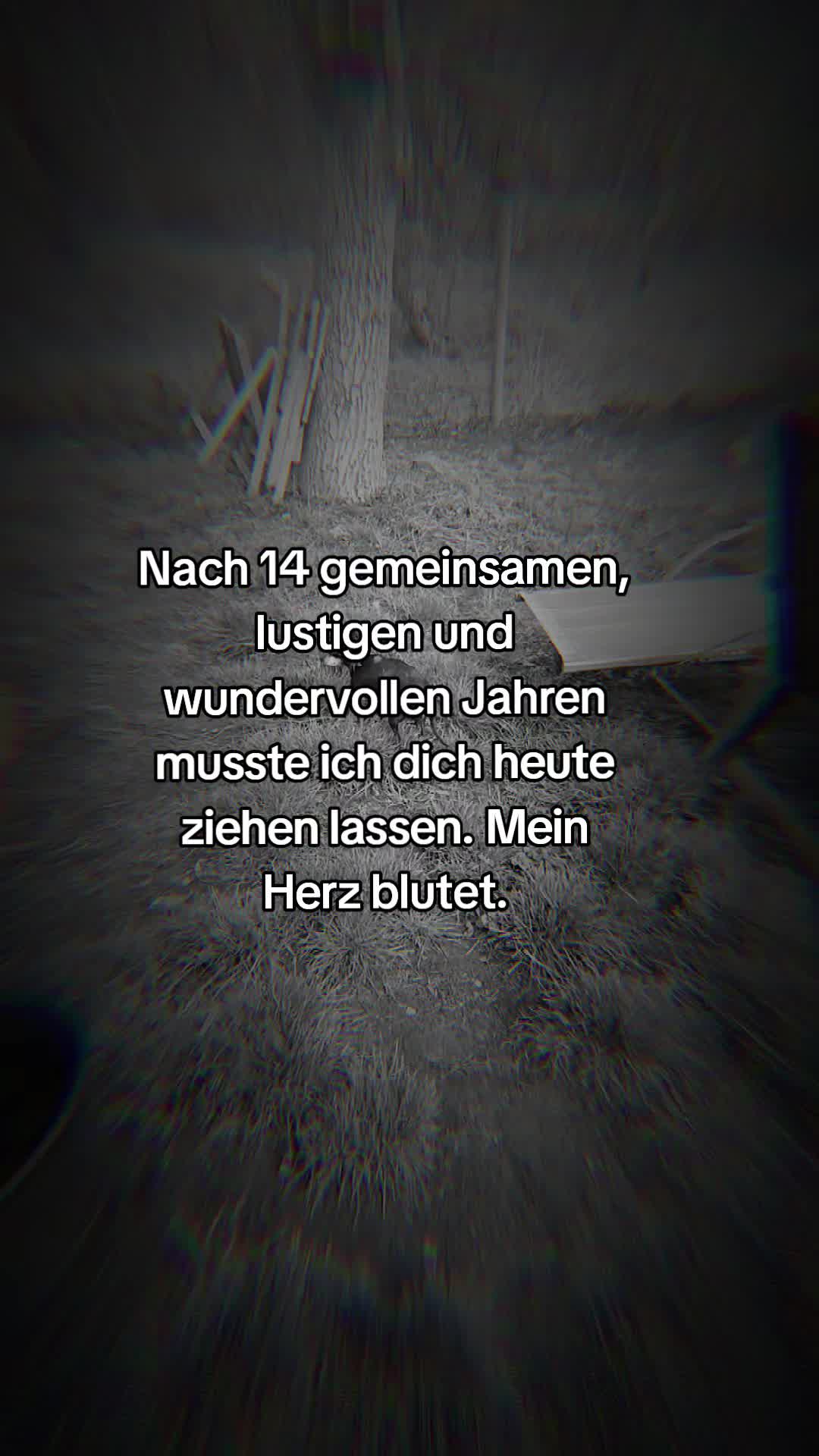 @Agnes Schwob