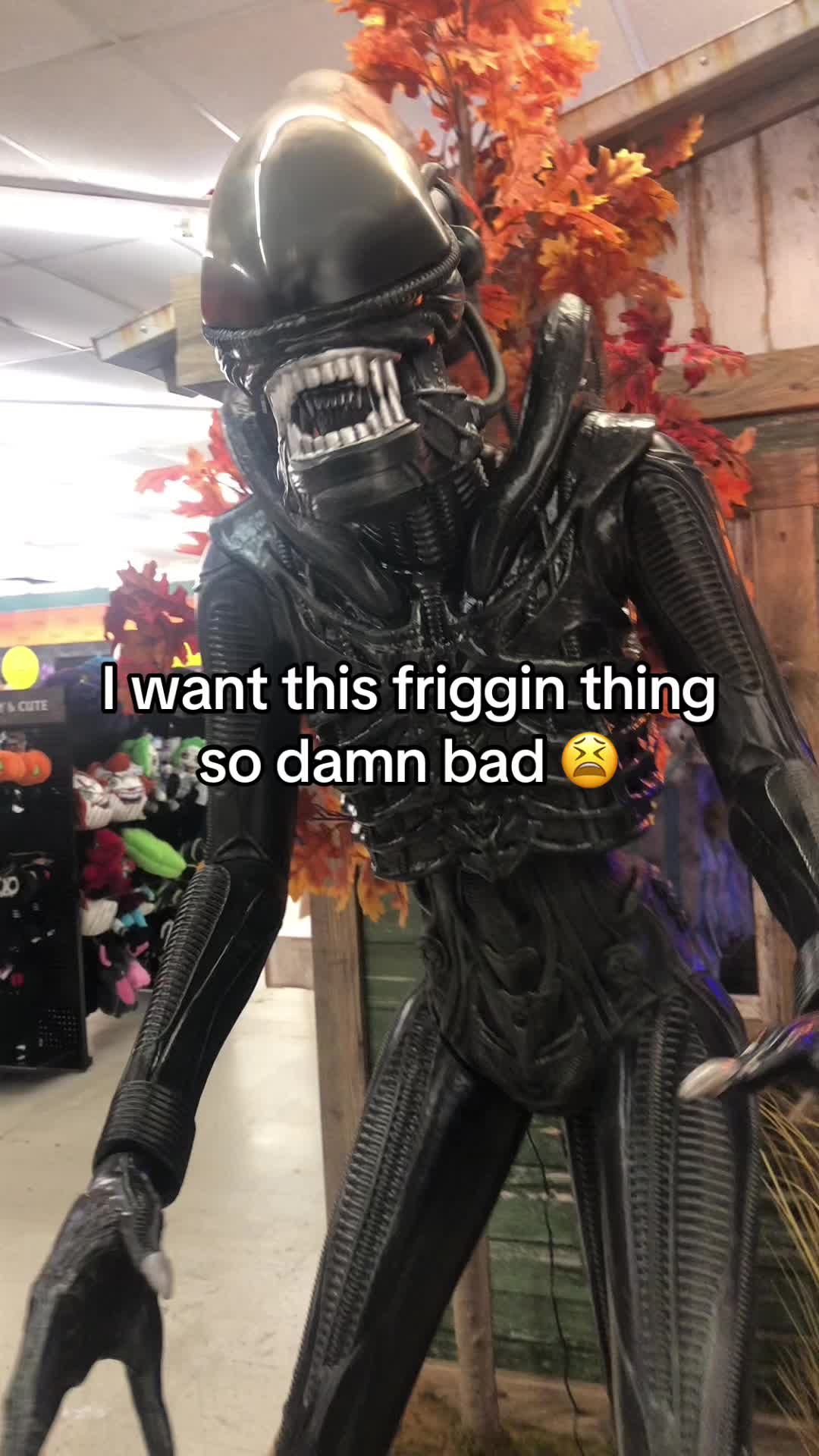 @Ian Goetchius