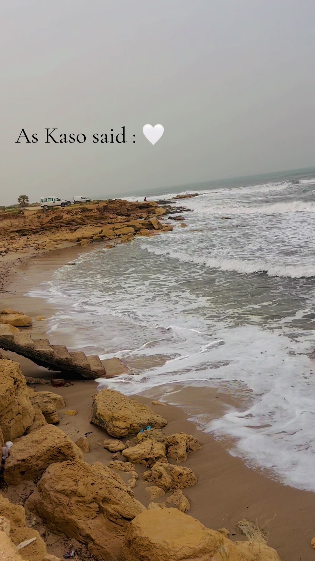 @Assil 🦢