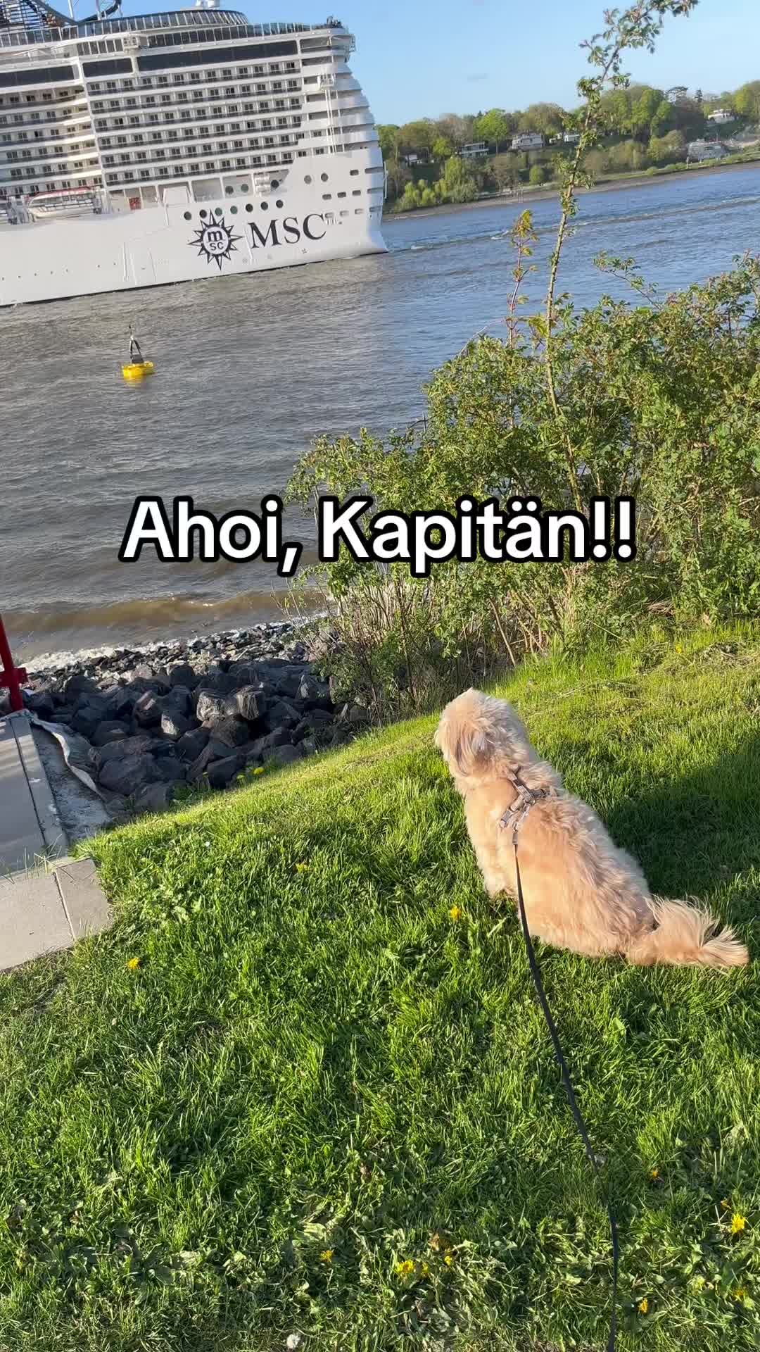 @DogMilow