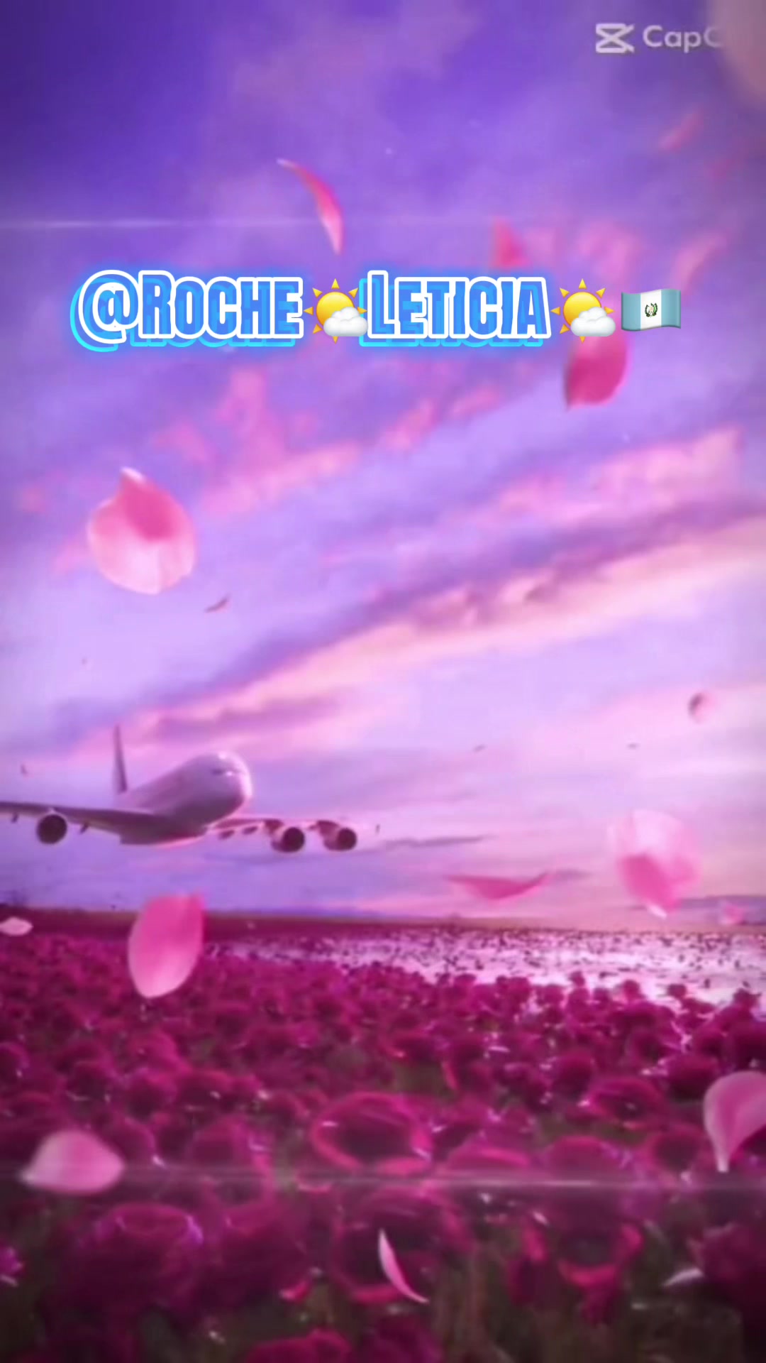 @Roche🌤️Leticia🌤️🇬🇹