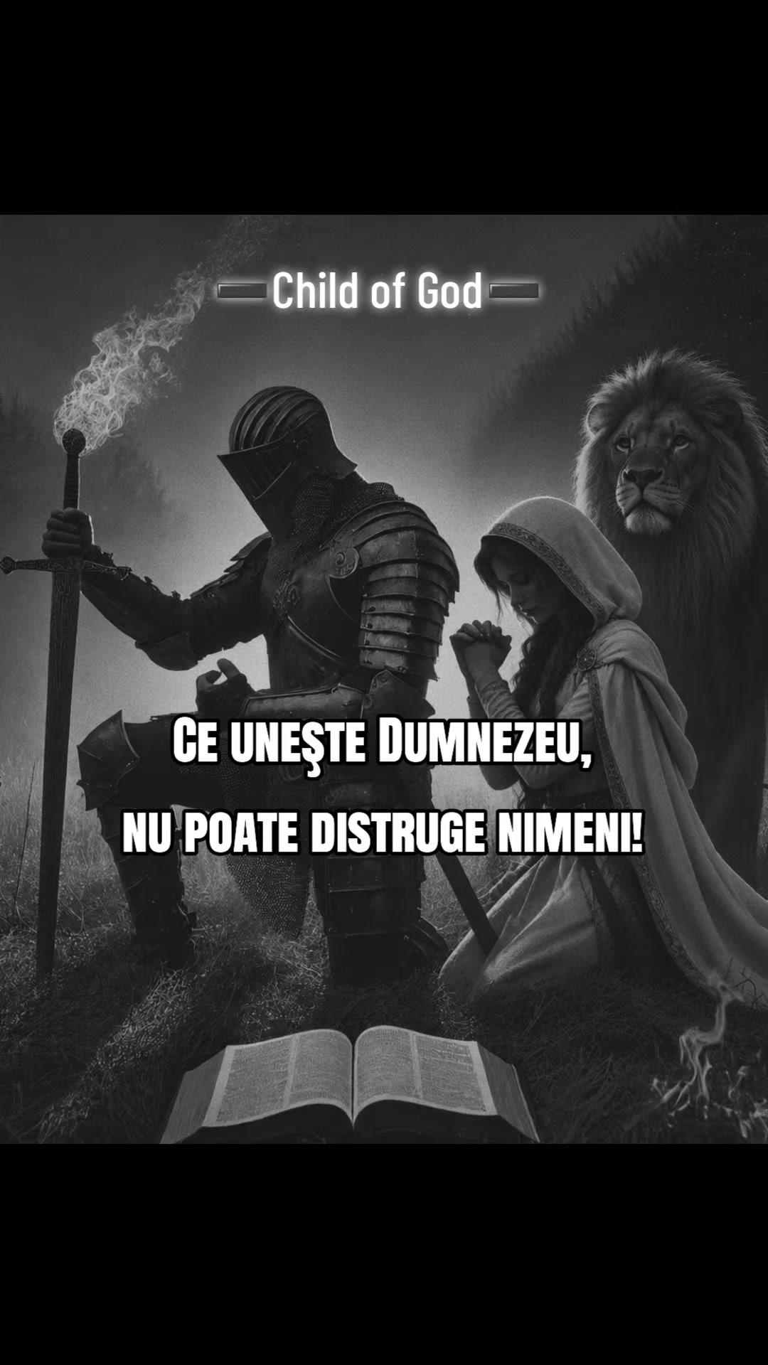@🦁aripideinger/ Ana👑