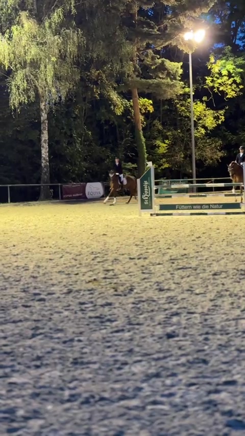 @diaryofequestrian