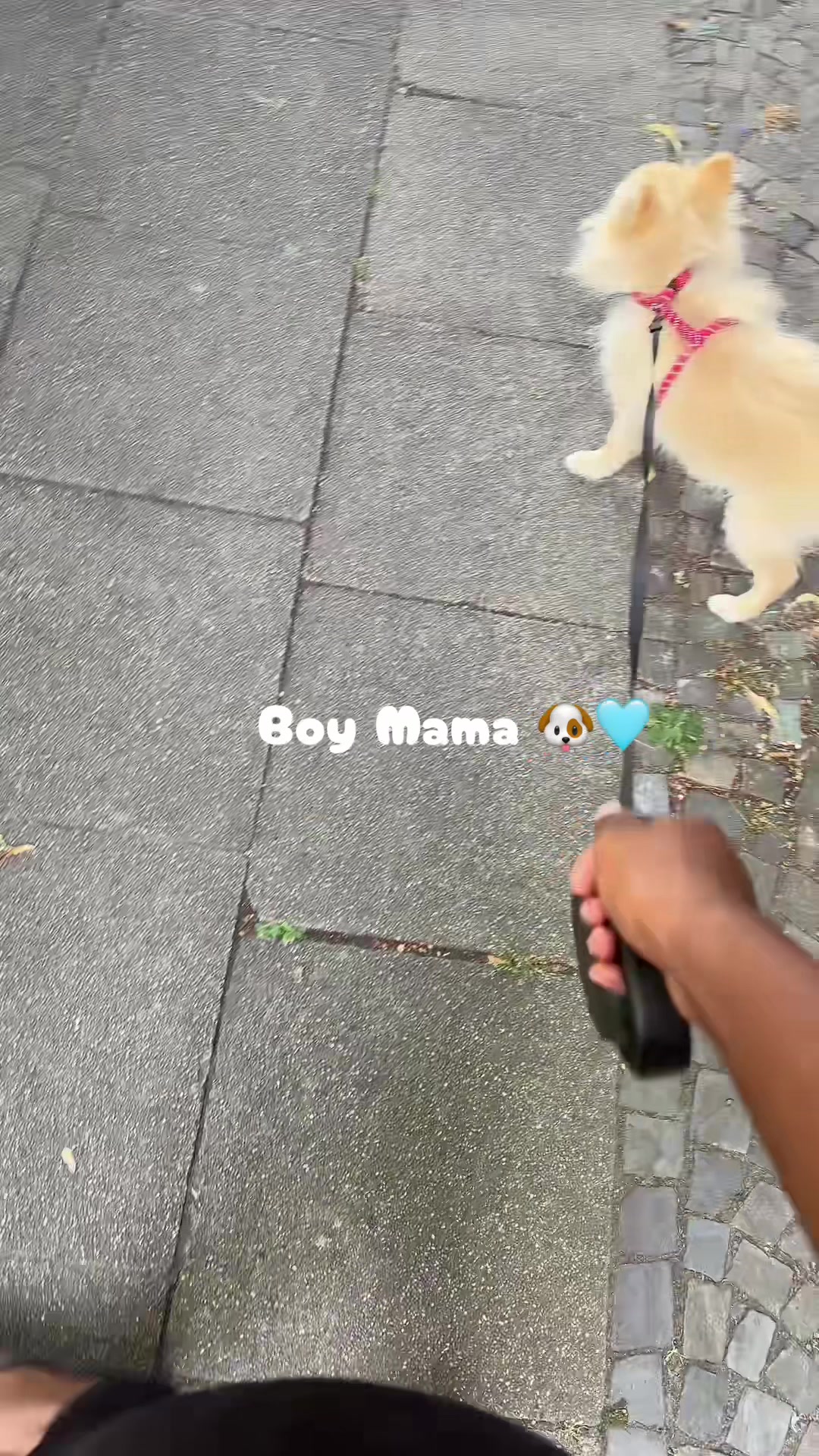 @cla.rita05