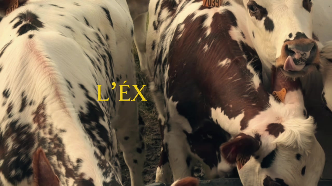 @enzo_agri_