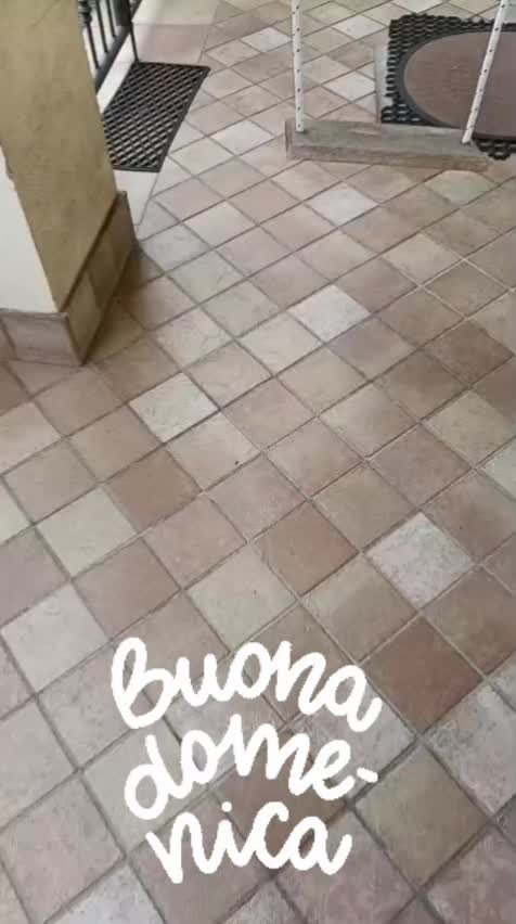 @ELETTRA L'ANIMALISTA