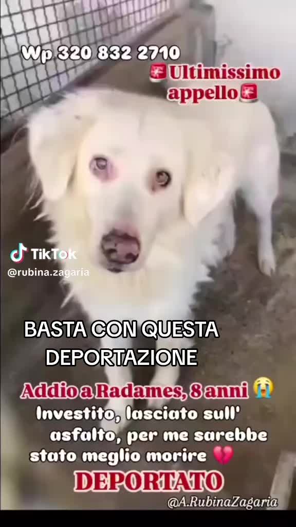 @💙L💙O💙R💙Y.💙A.💙N💙