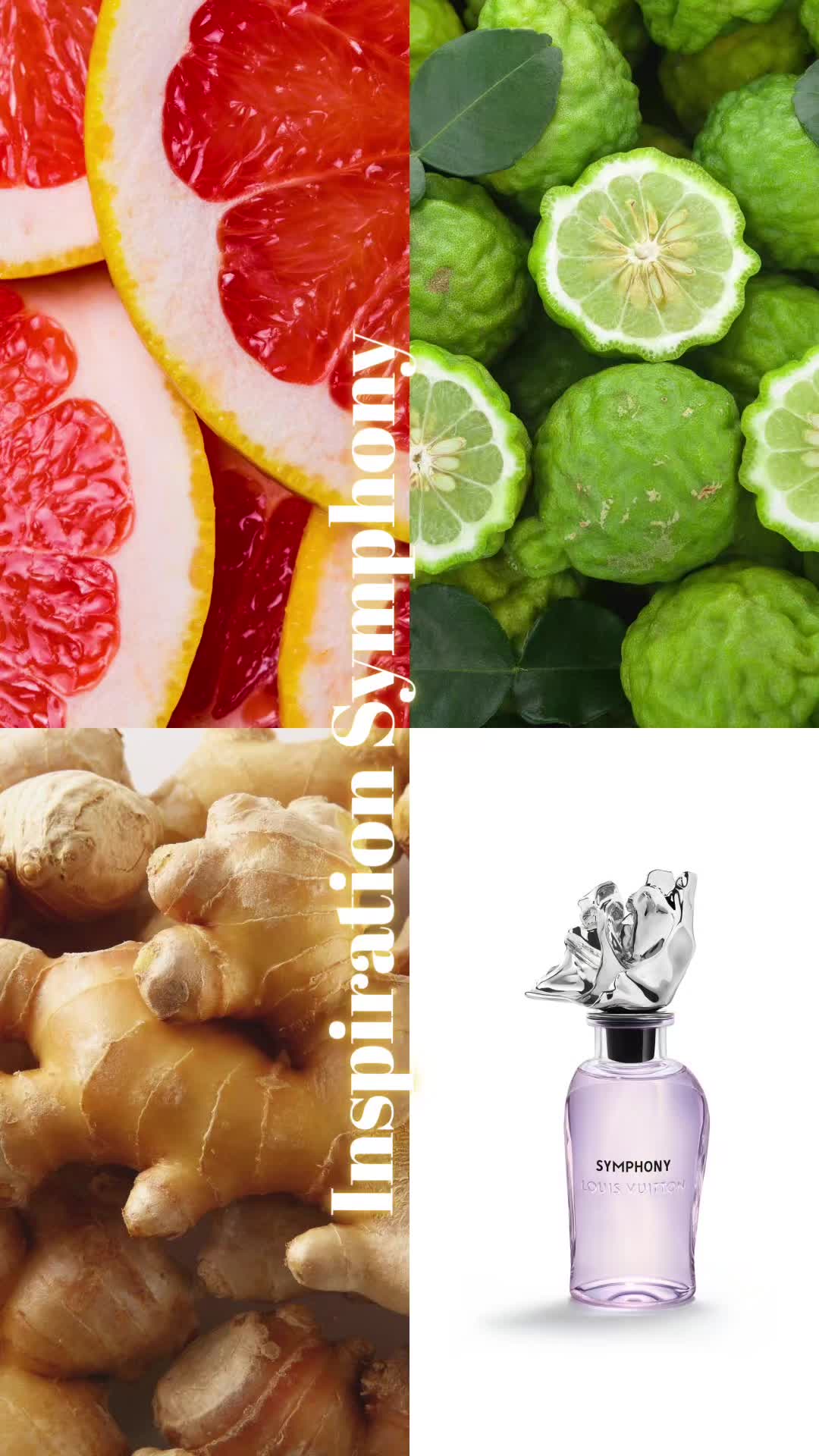 @Amraee.parfums