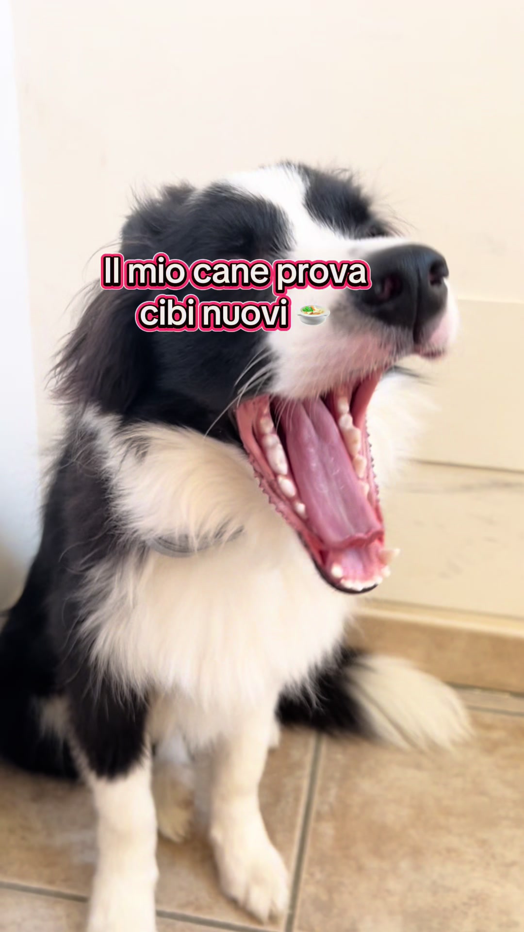 @𝓖𝓻𝓪𝓩𝓸𝓮 🫧