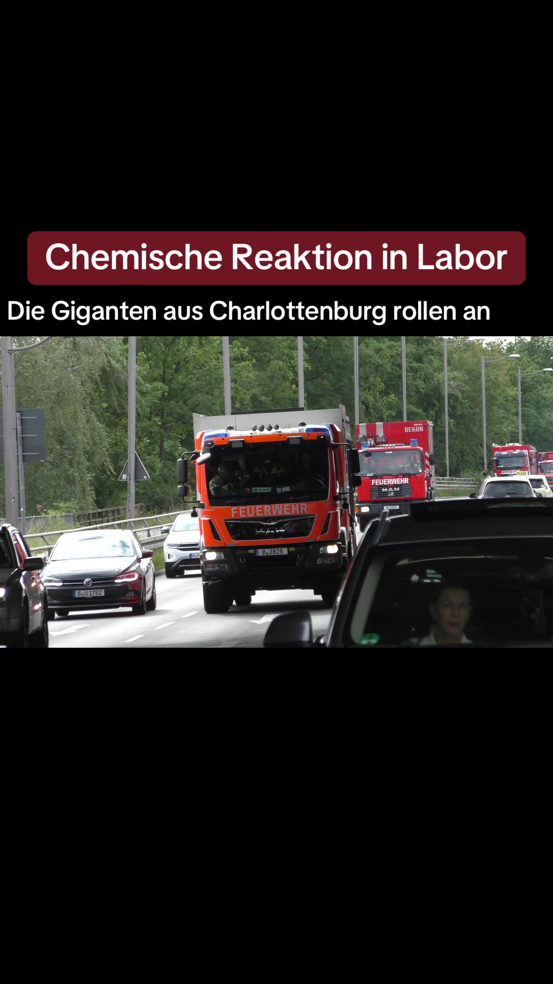 @BlaulichtSchlafi