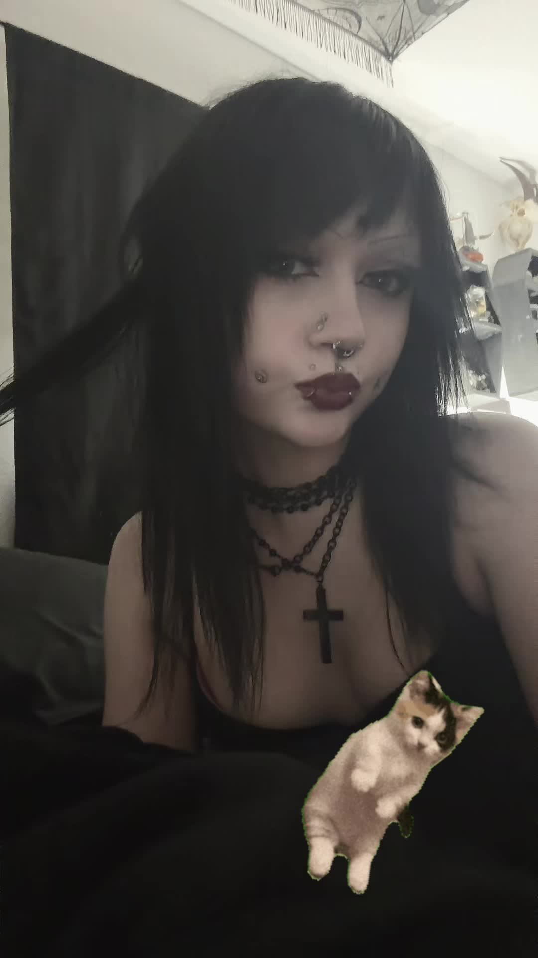 @hailey ☣︎🕸️