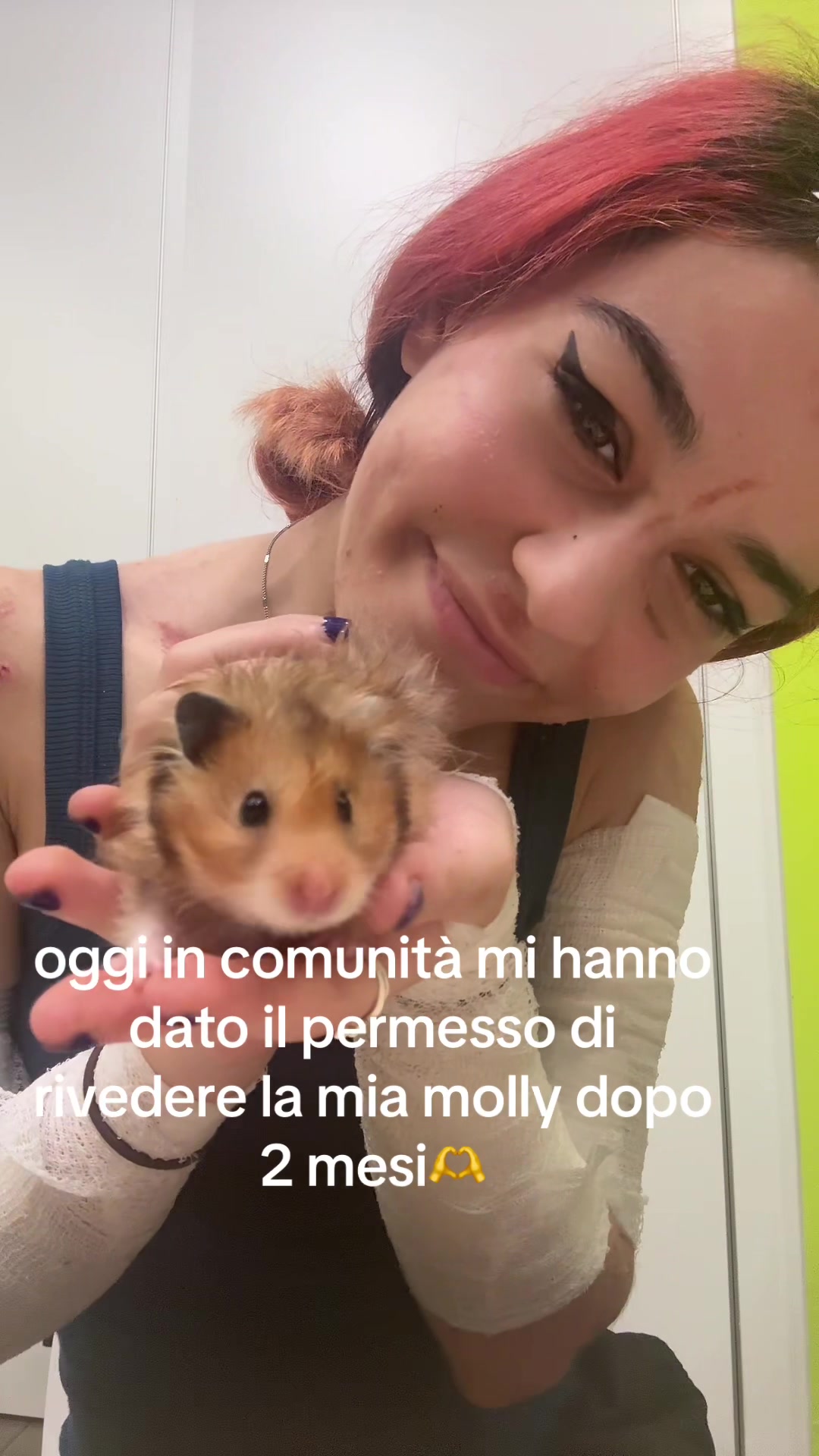 @🌙