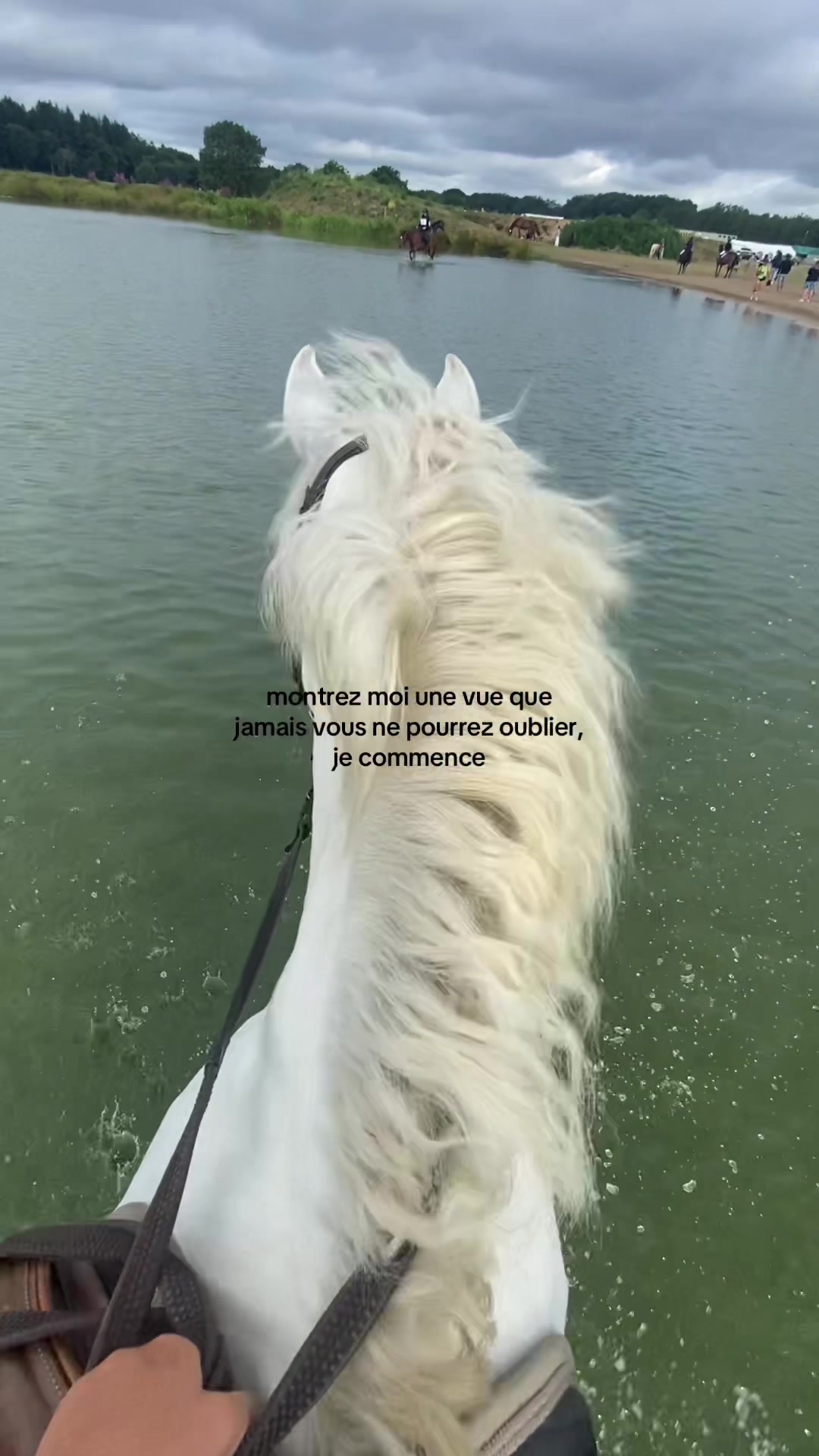 @cl&eacute;ou&rsquo; 🦕🪐