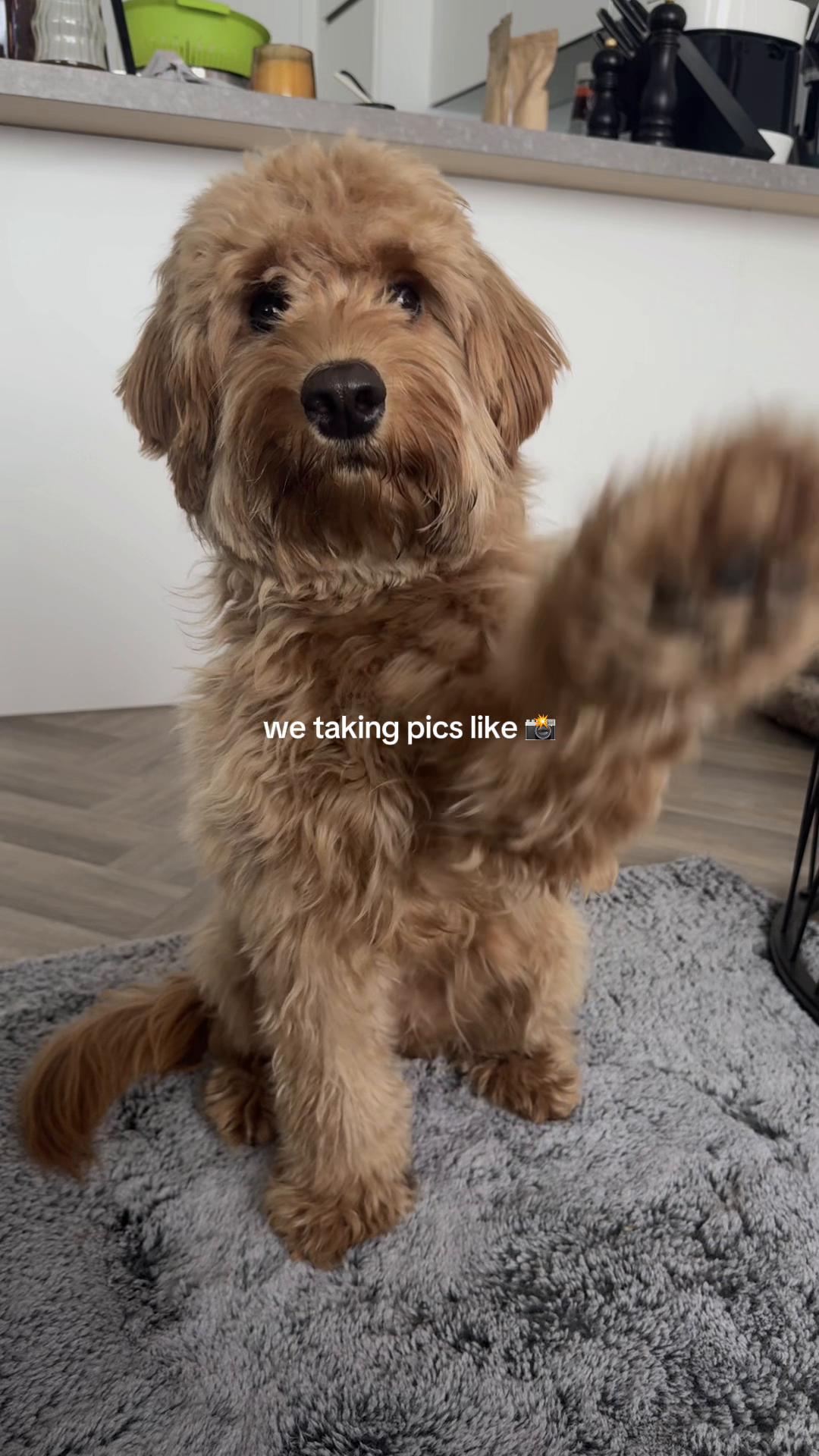 @Kaja & Julia