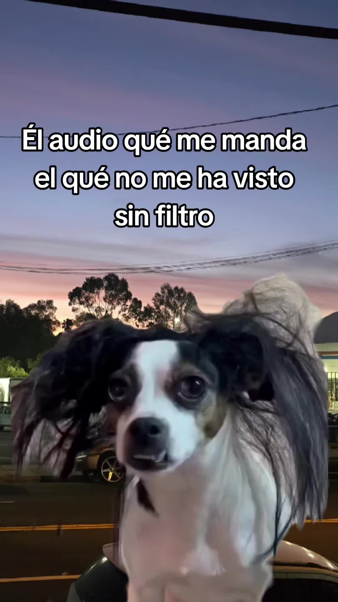 @La_Patty💞
