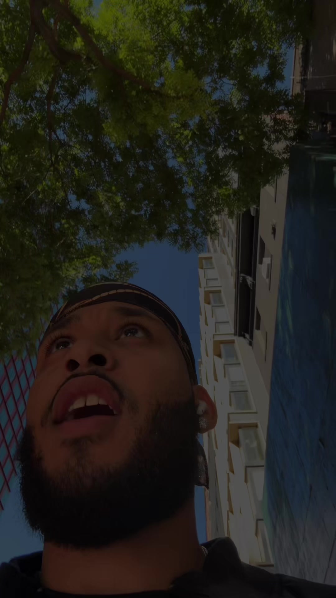 @Frank🐊