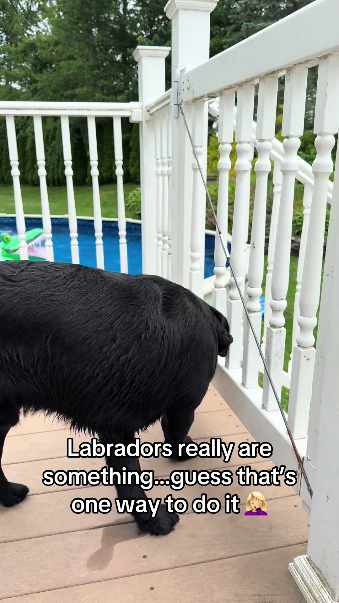 @DennisTheBlackLab