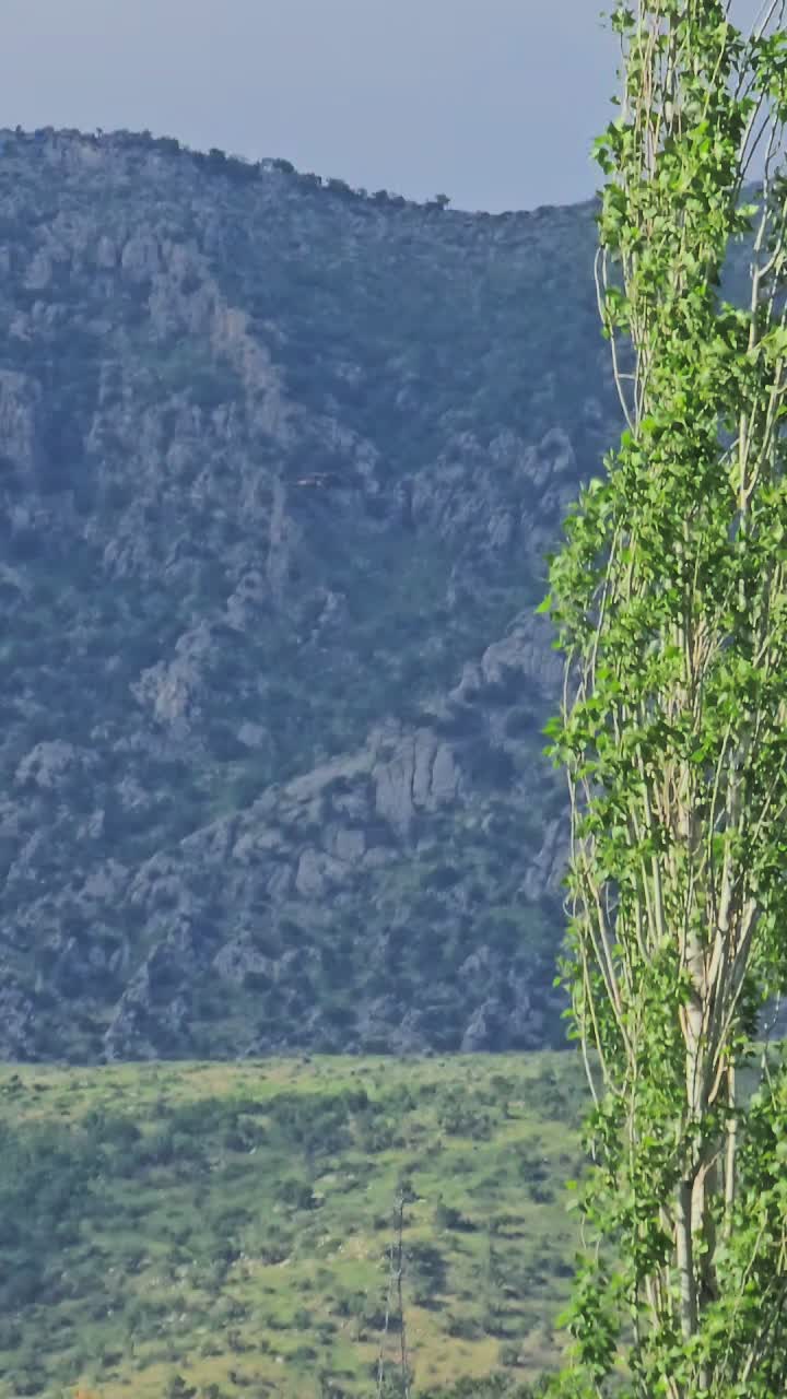 @heja_nheli25📸⛰️
