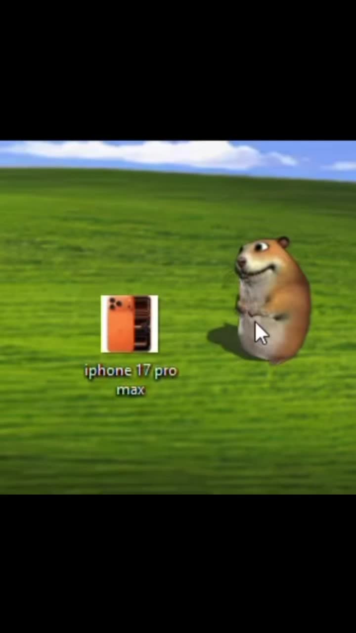 @chomik647
