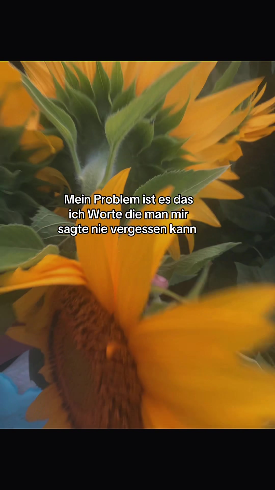 @𝒜𝓃𝓃𝒶🌺