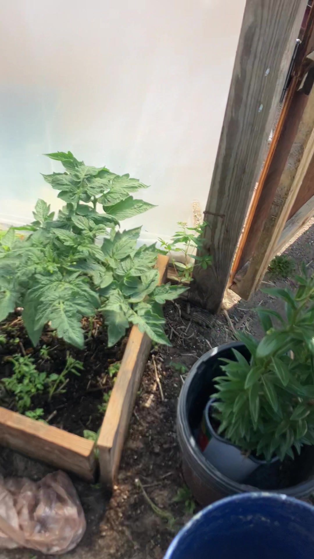 @Laura Christina