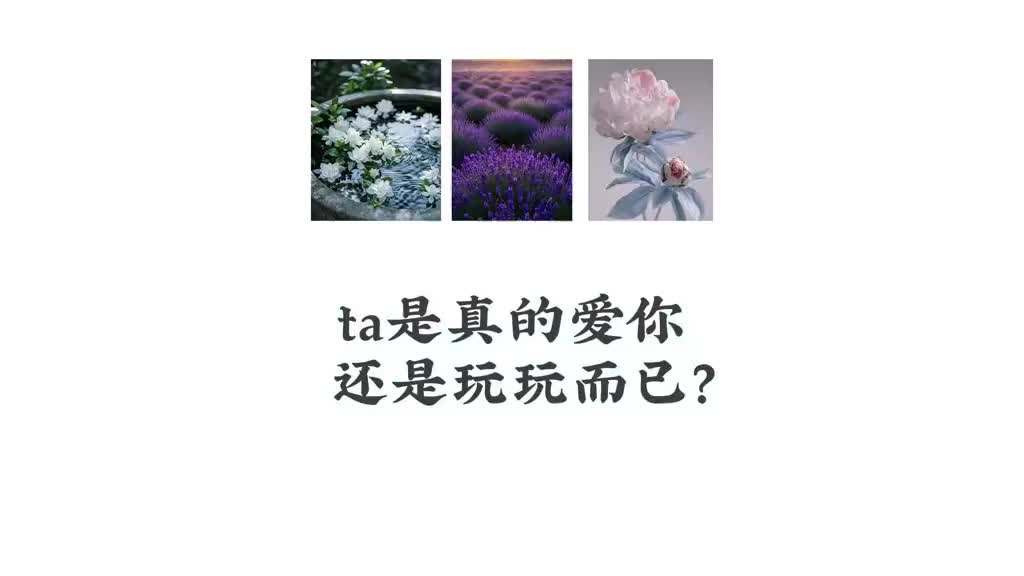 @塔羅牌占卜⭐