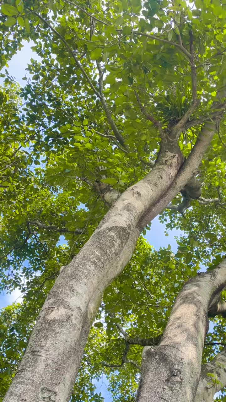 @kajalshah192
