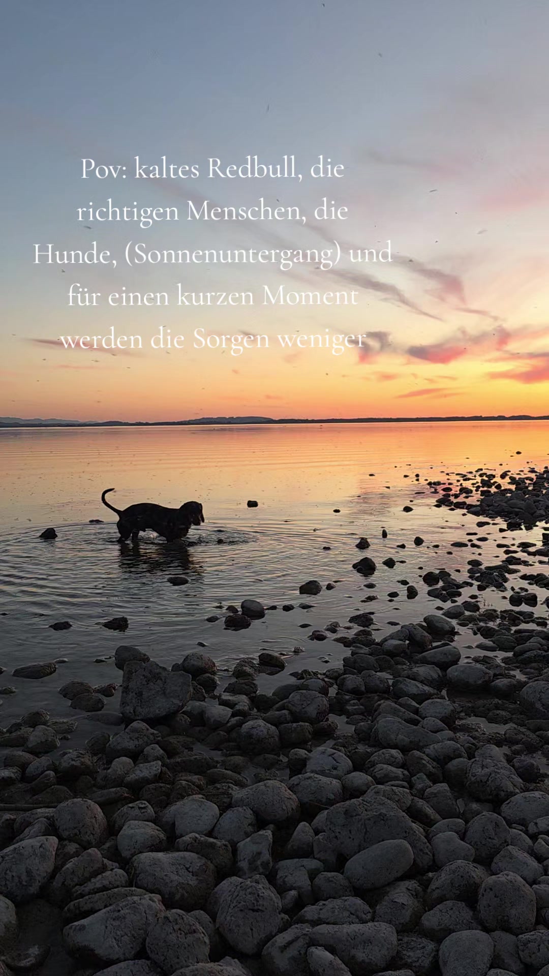 @Doggenkuh_Luna