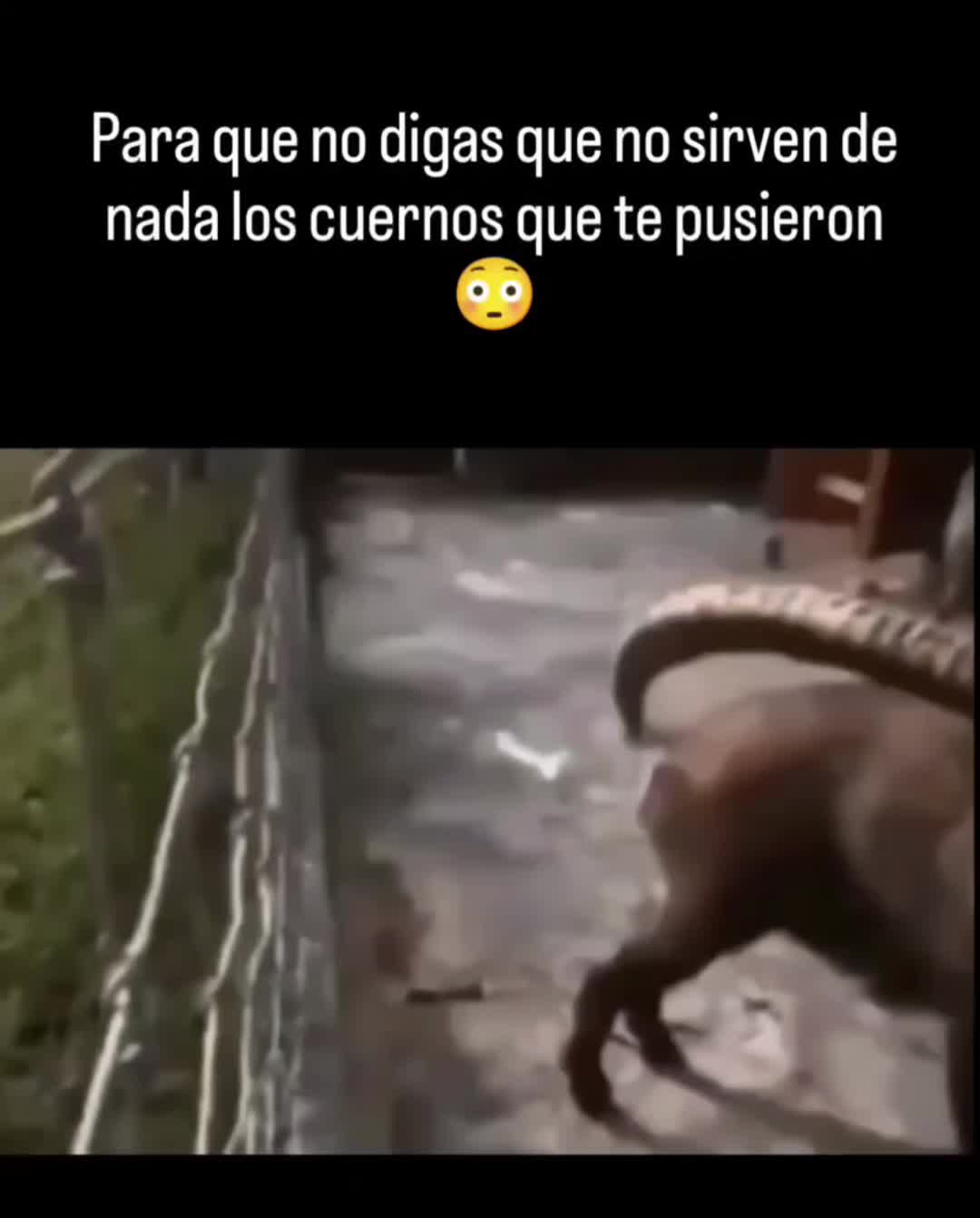 @Mariposa Carmen