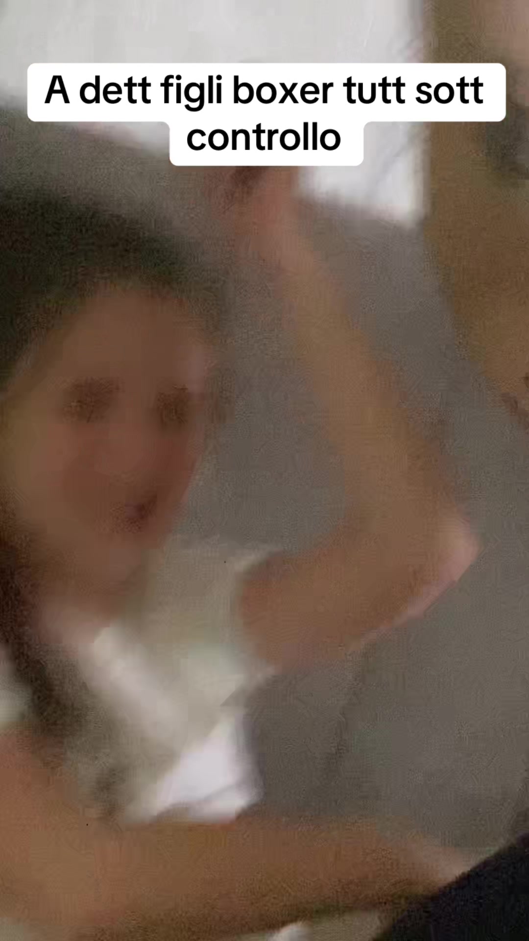 @boxer17