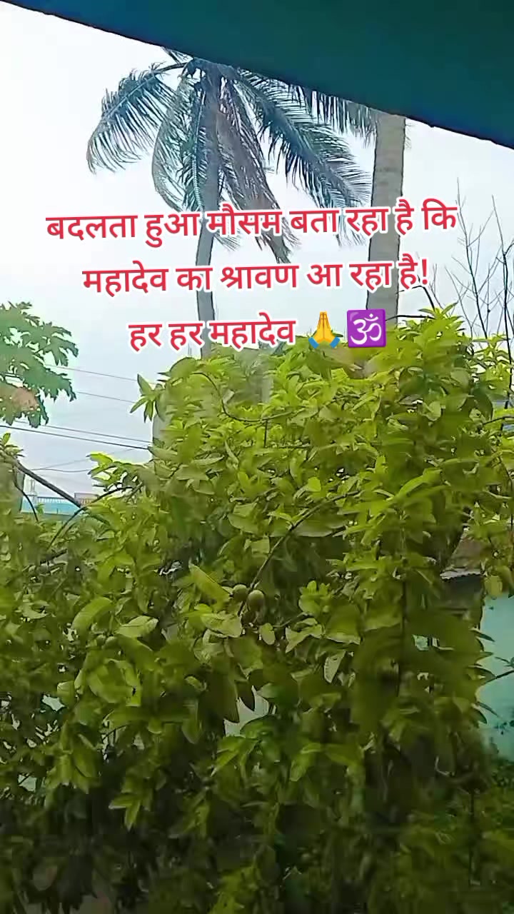 @Ree-Taa Gupta Jain