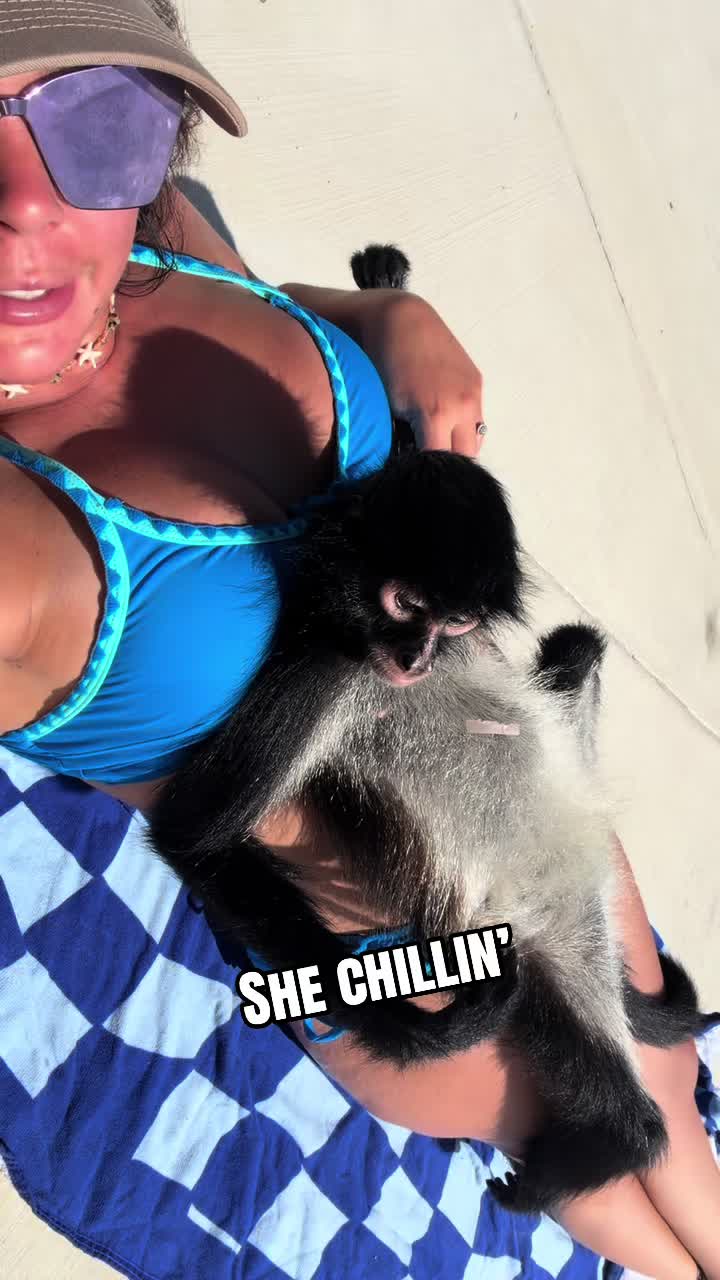 @Wild South Exotics