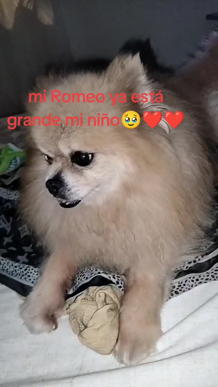 @Silvanna Lafontaynne