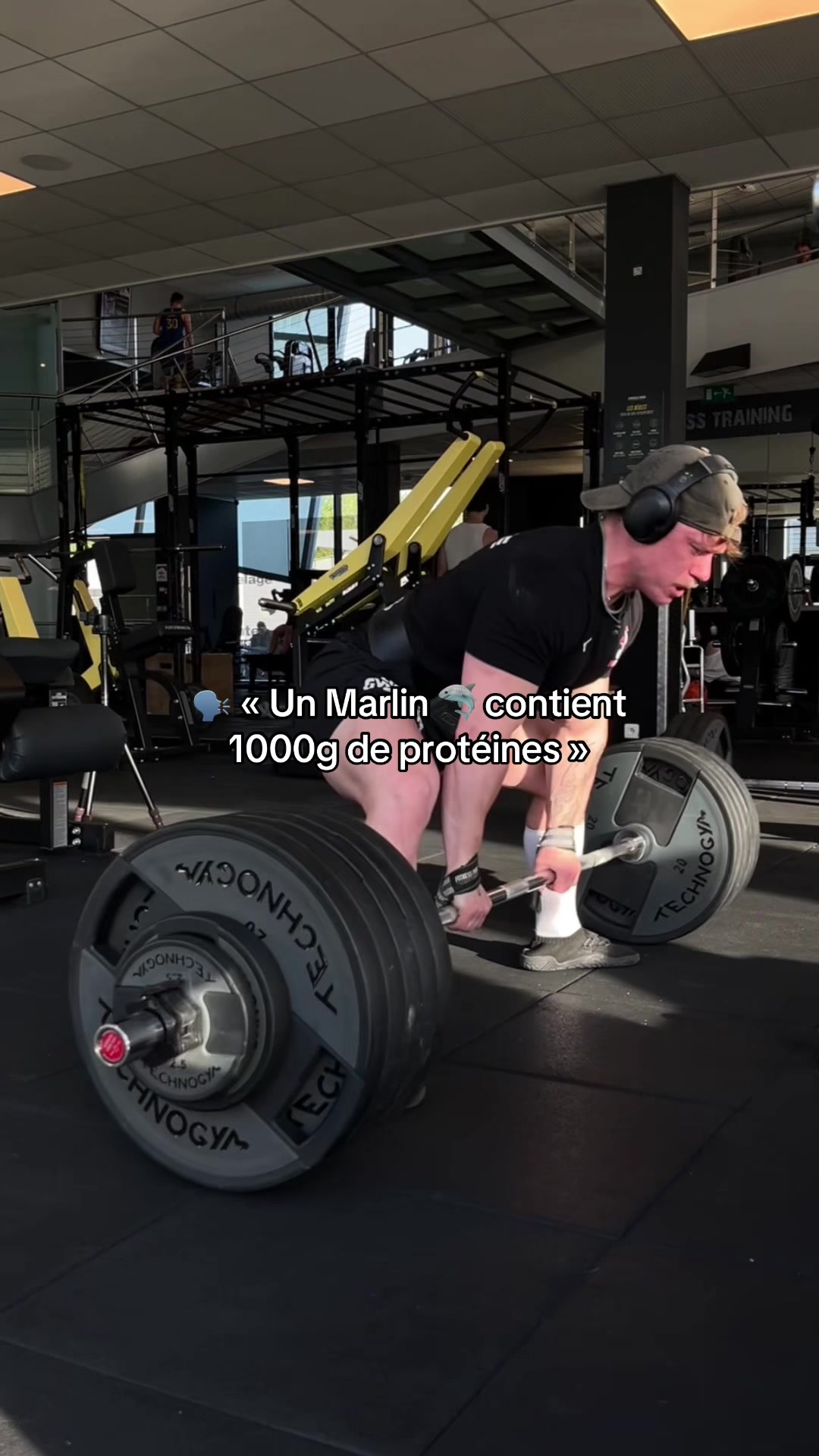 @Willy 𒉭