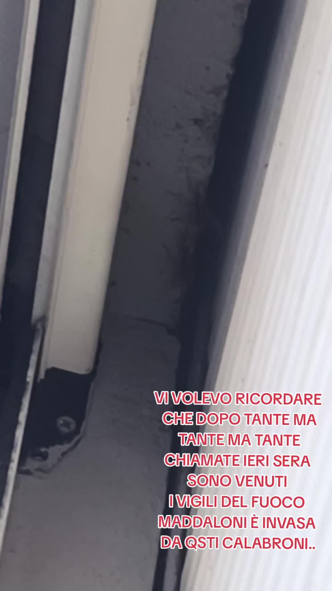 @peppeventrone77