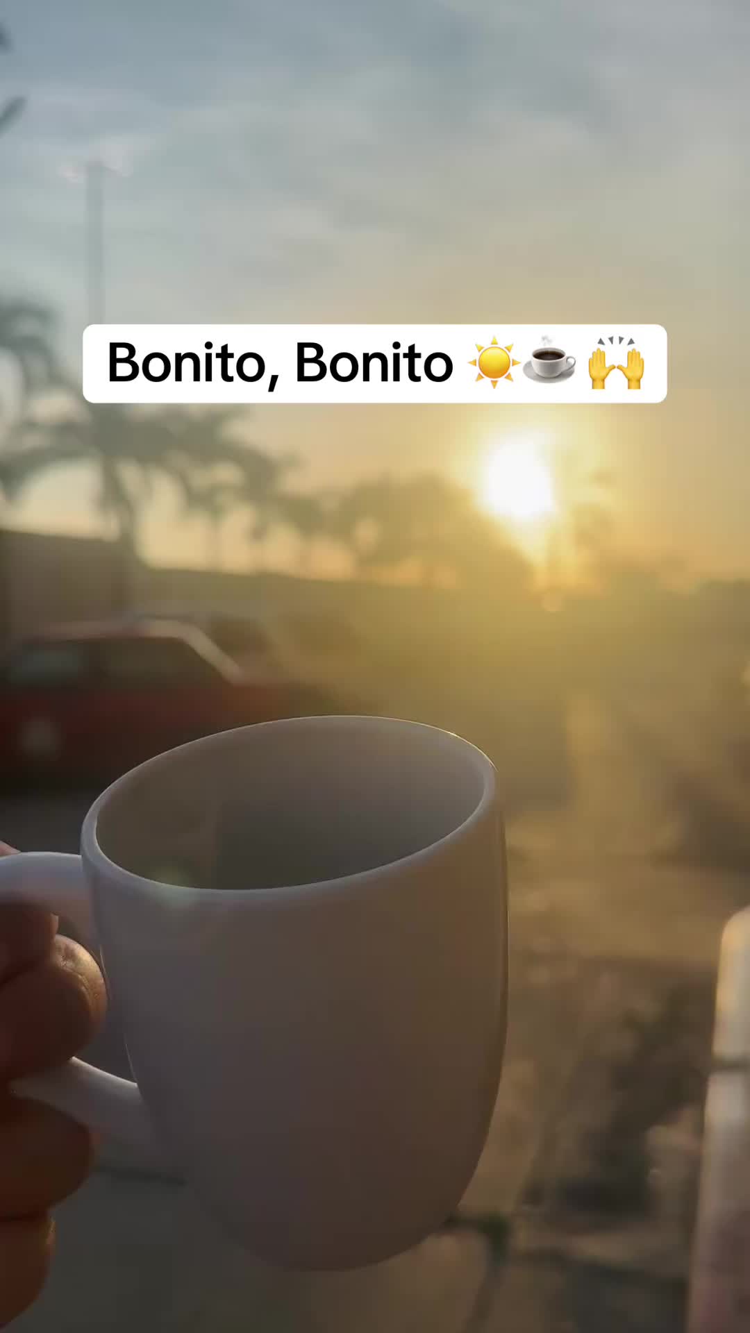 @Isabel Rond&oacute;n