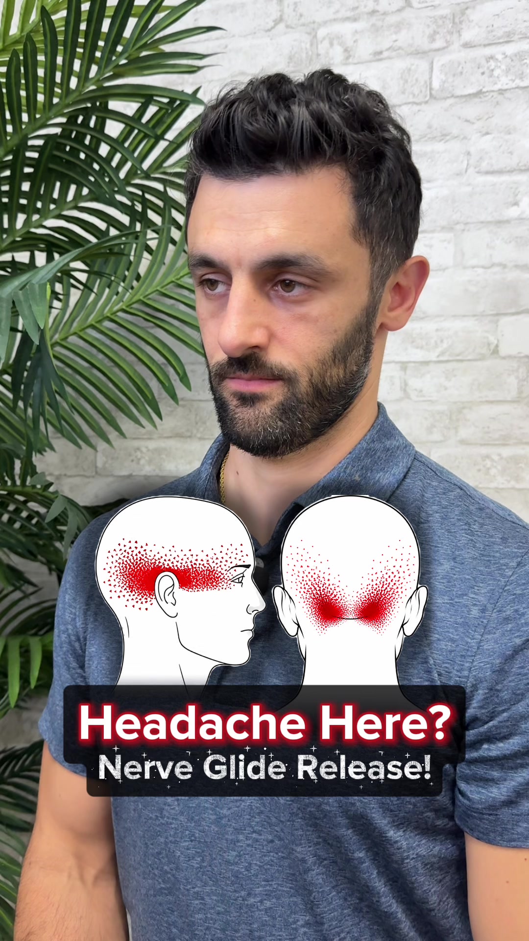 @Dr. Joe Damiani, DPT