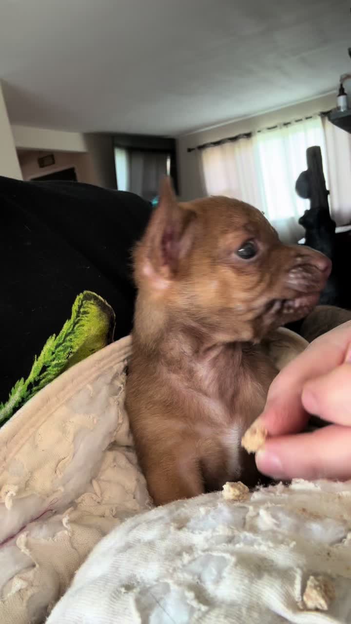 @Friends Forever Animal Rescue