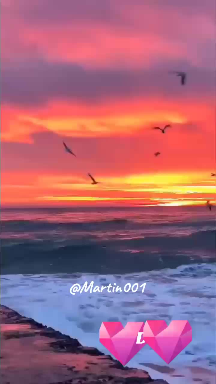 @💫𝙥𝙖𝙣𝙩𝙝𝙚𝙧💫