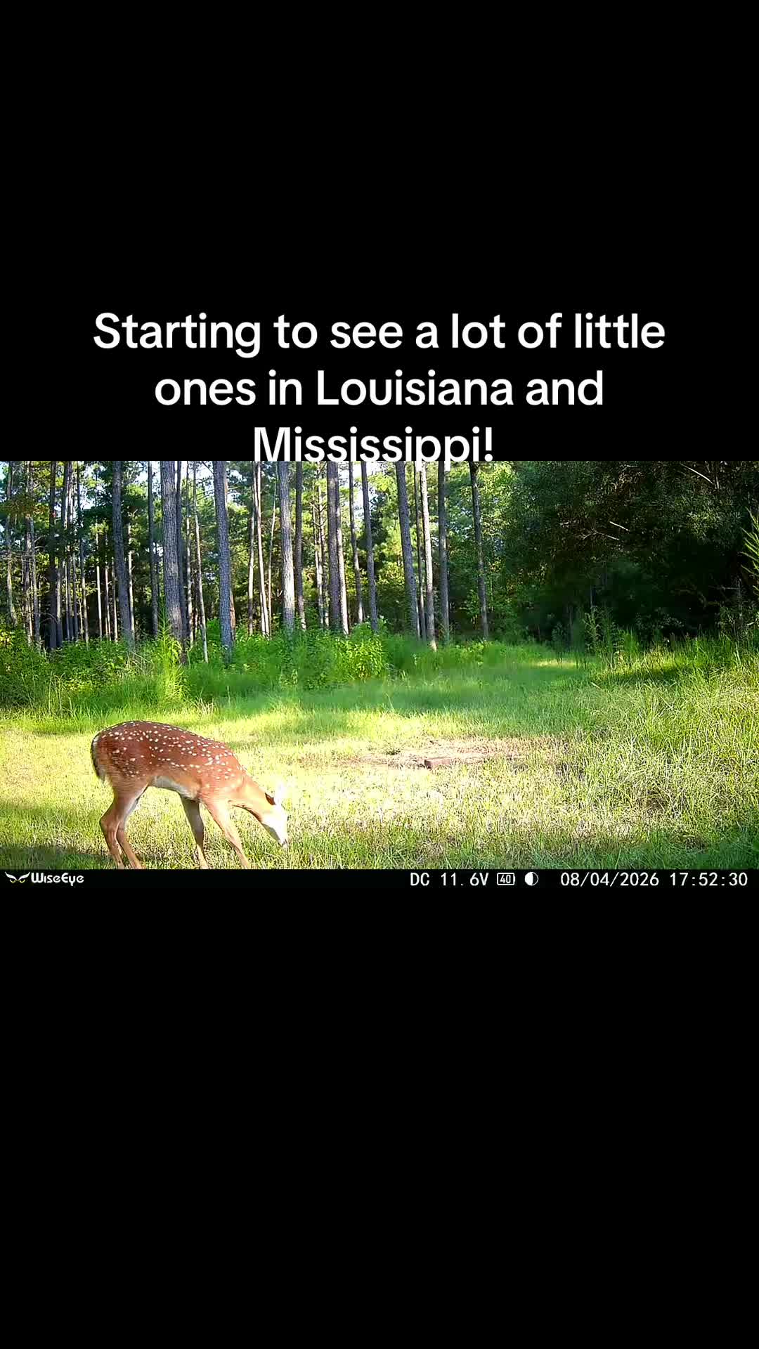 @🦃 Lynchburg Outdoors 🦌