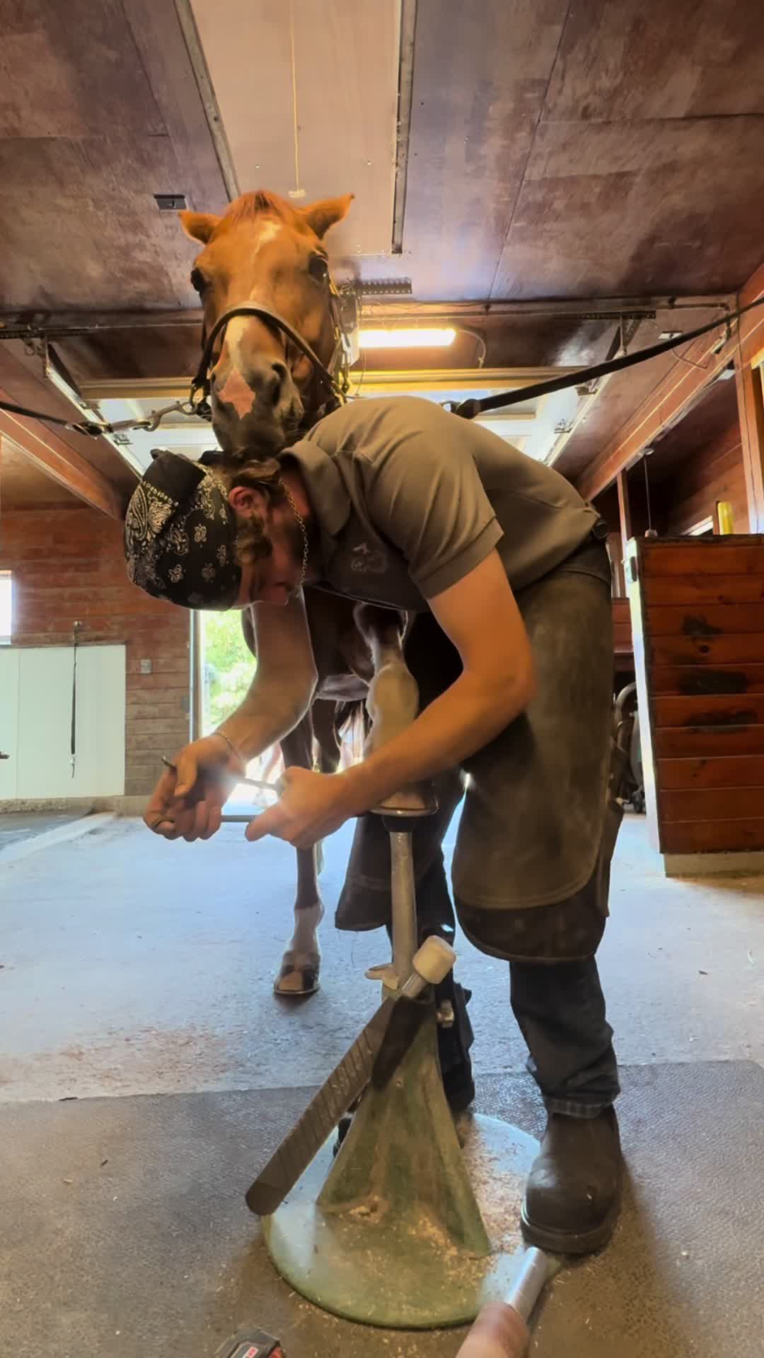 @jakethefarrier_
