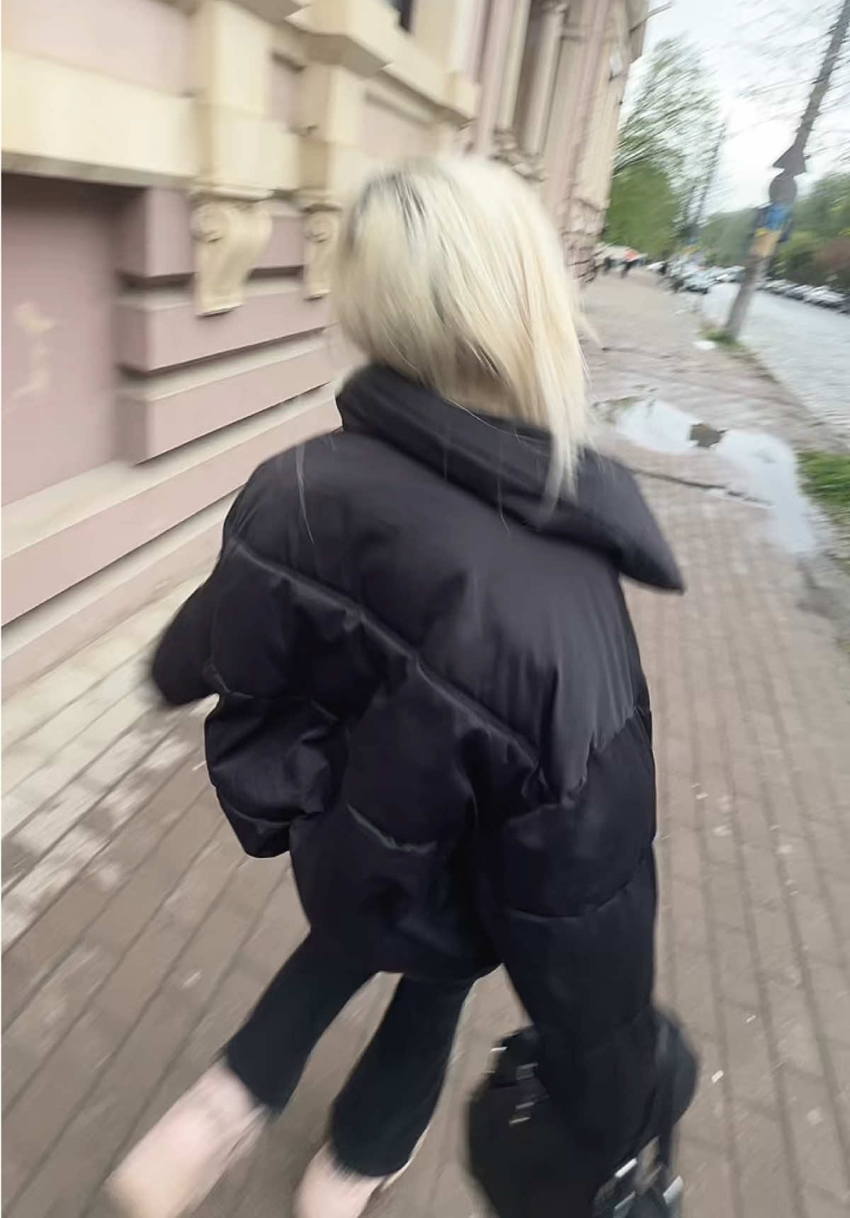 @чихуахуа