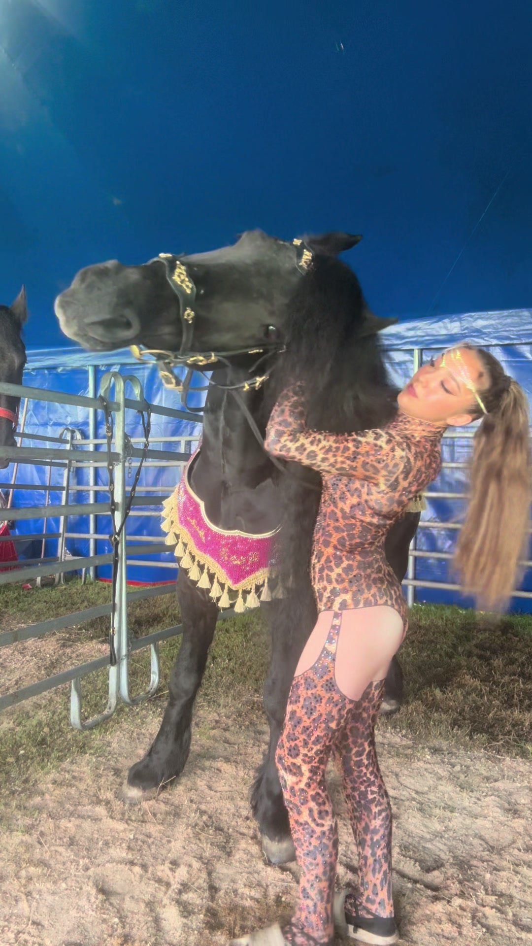 @Horses