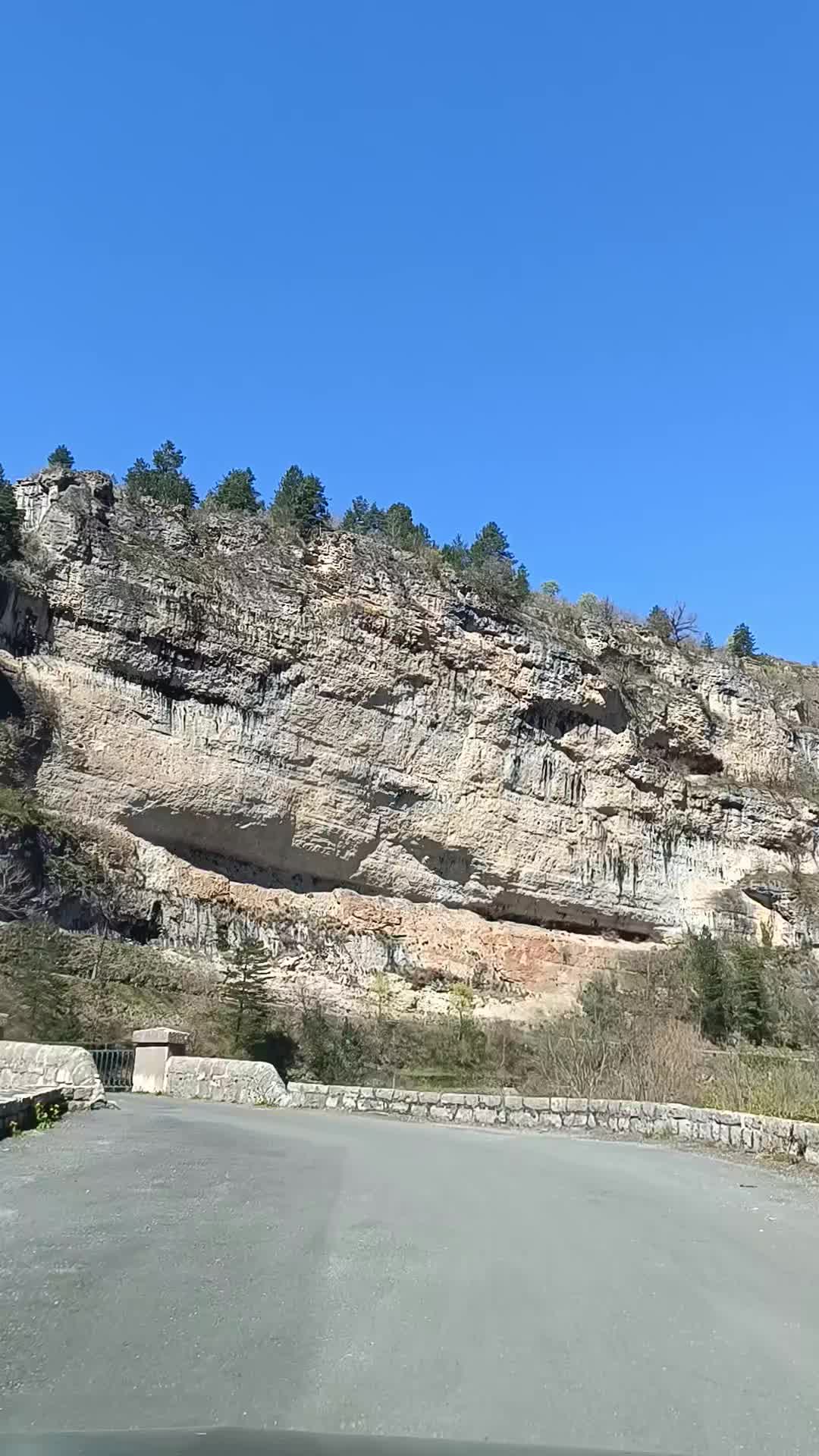 @Jo&atilde;o Cardoso