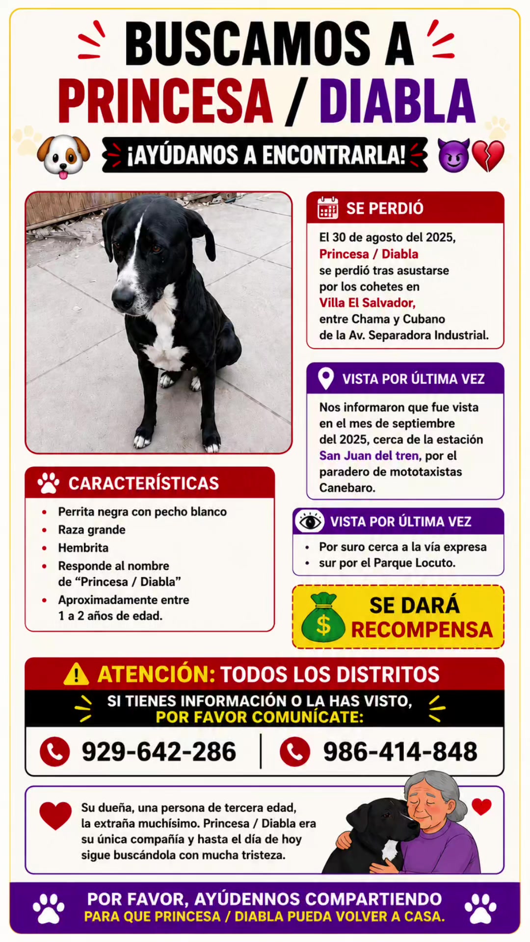 @Perritos Voladores