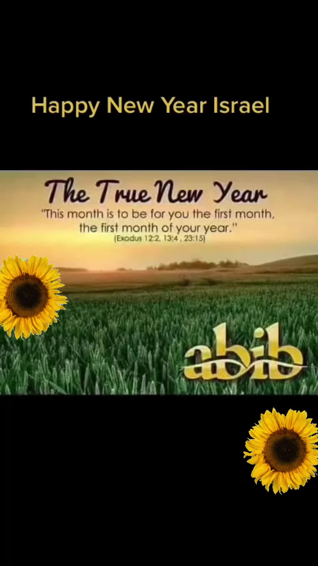 @Yisraelitegal