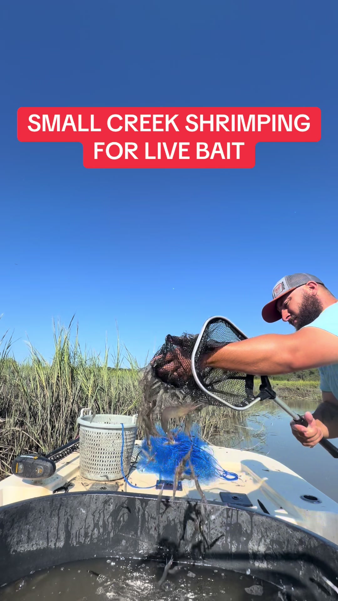 @BeaufortSC_Bait