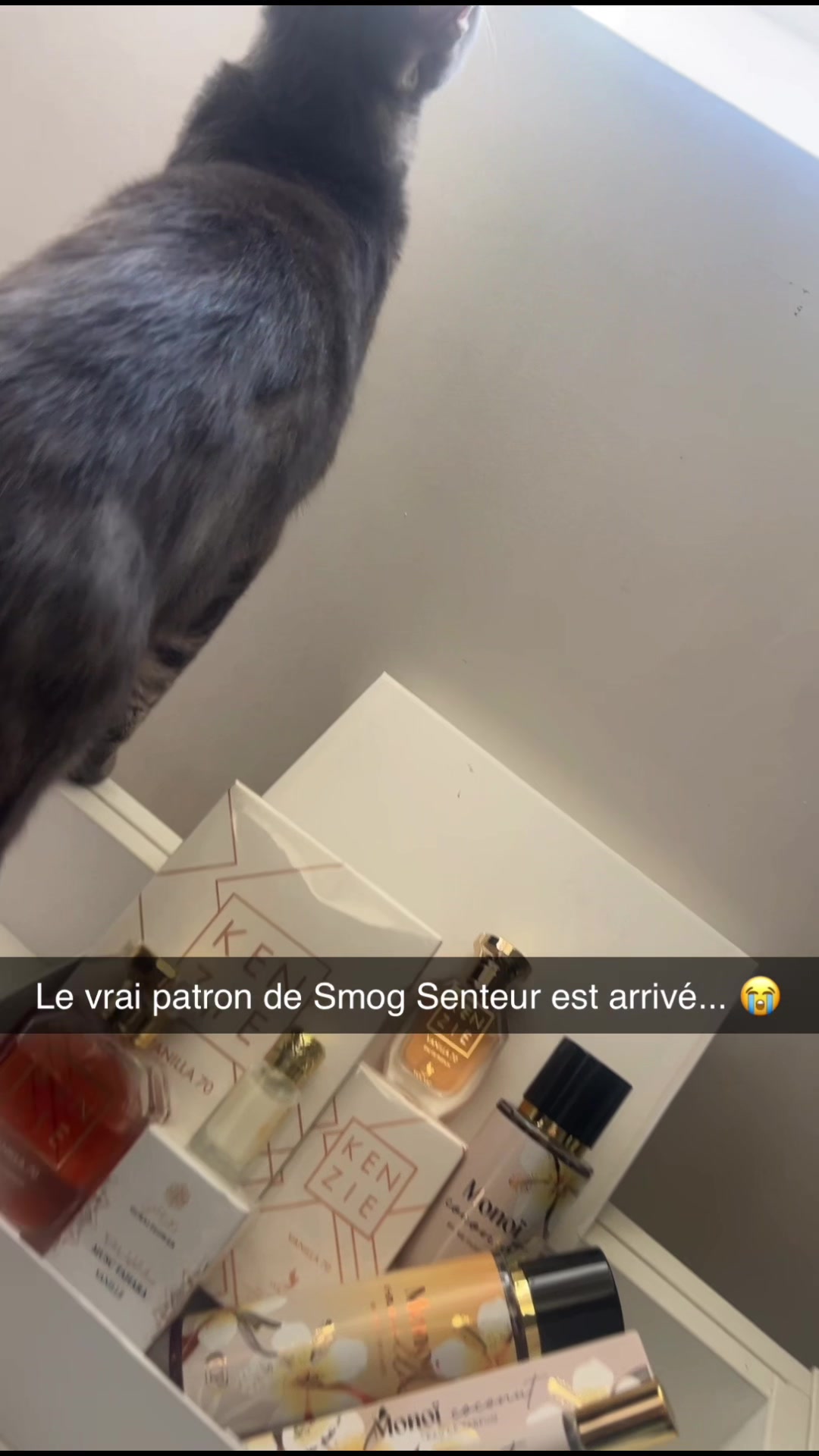 @Smogsenteur