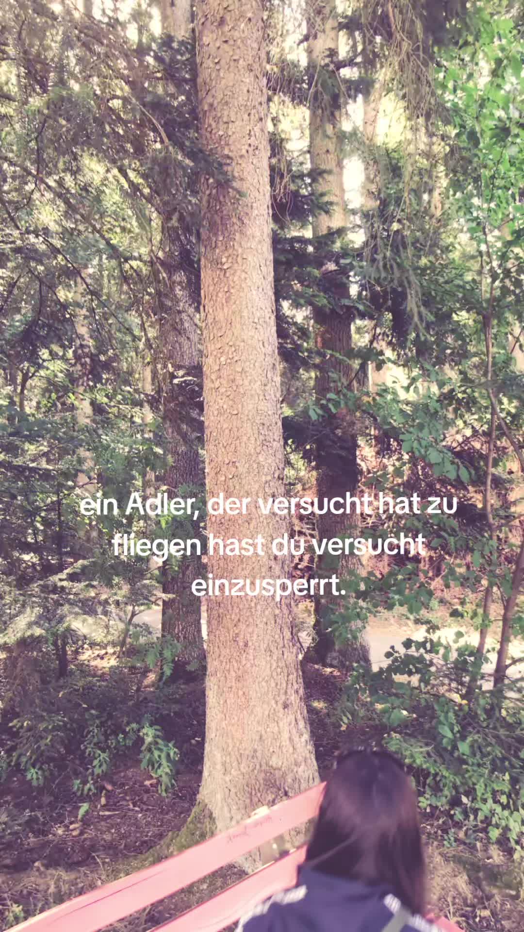 @𝐿𝒶𝓊𝓇𝒶✌️