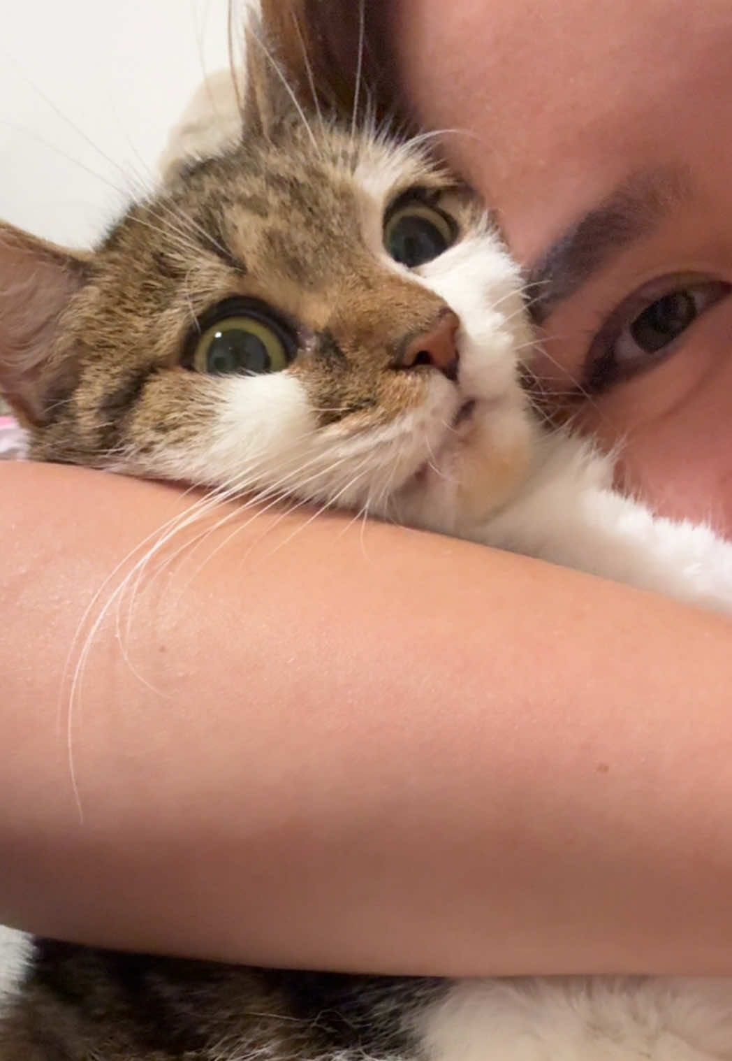 @Suki Purrs